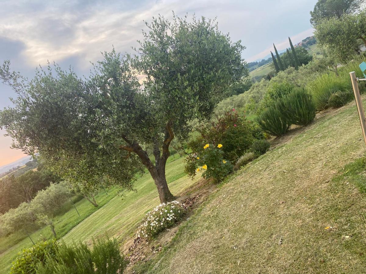 Agriturismo Palazzo Val Del Sasso Villastrada  Exteriör bild