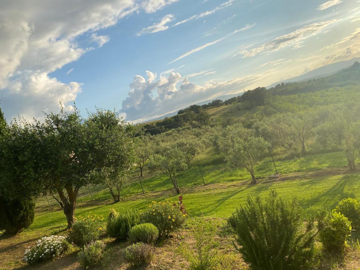 Agriturismo Palazzo Val Del Sasso Villastrada  Exteriör bild